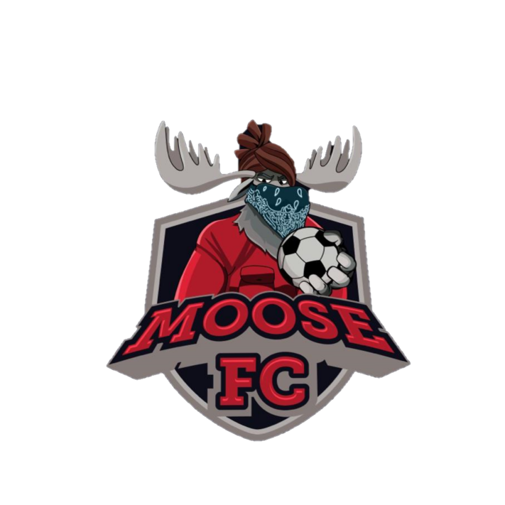 Moose FC Manitoba Major Soccer League Website by RAMP InterActive