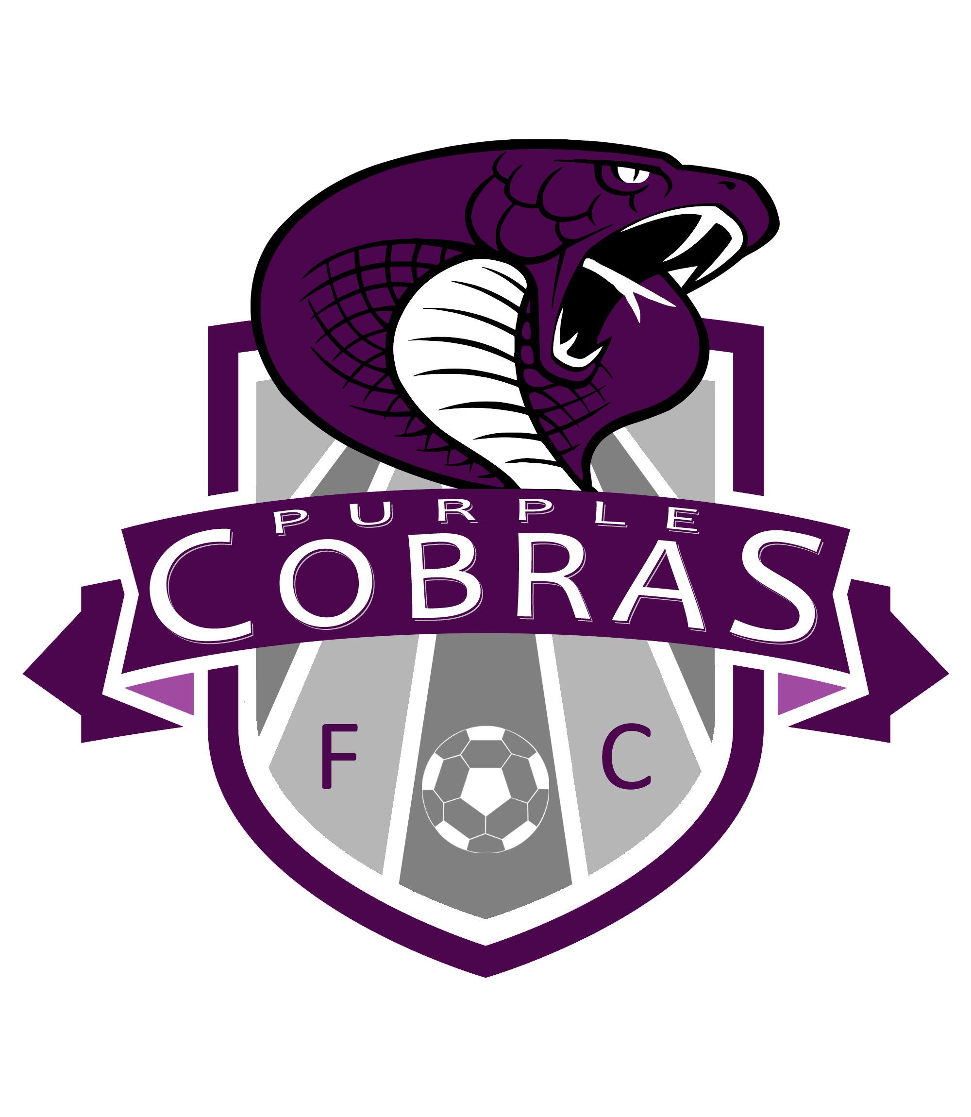 Purple Cobras Manitoba Major Soccer League site by RAMP InterActive